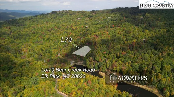 a view of a bunch of trees and mountains
