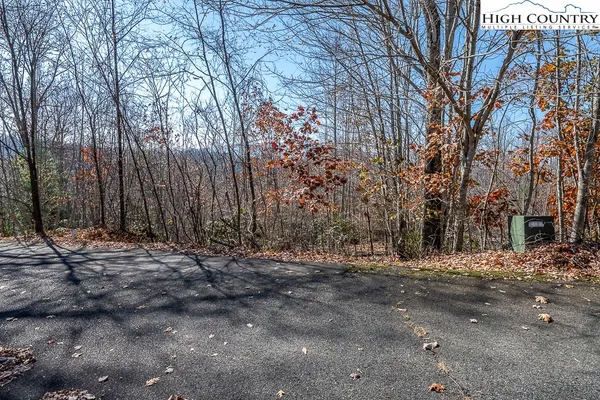 a view of road with trees