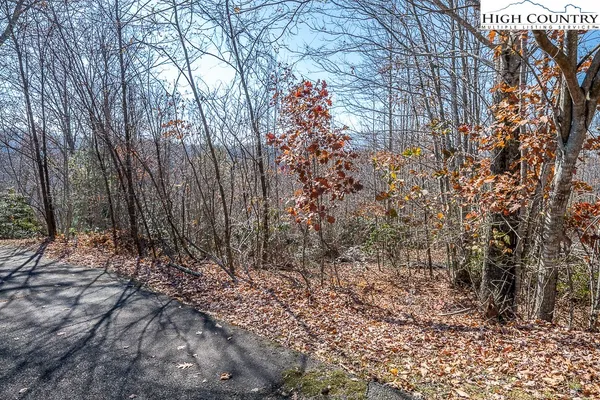a view of a yard with large trees