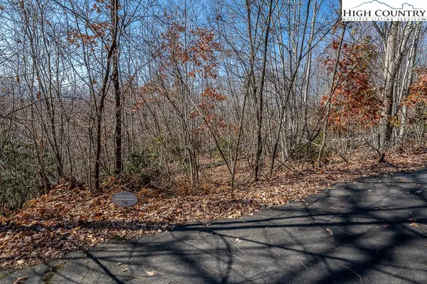 a view of a yard with trees