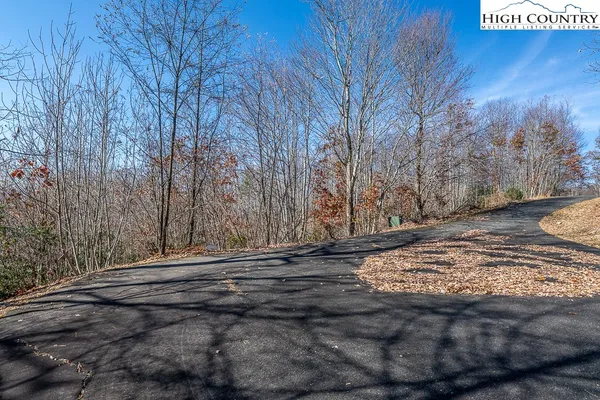 a view of a yard with trees