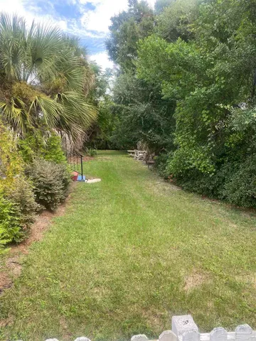 a view of a yard with plants and large trees