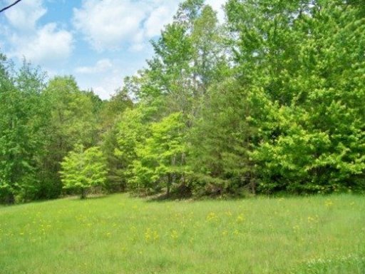166 Catoosa Ridge Road Rockwood, TN 37854 - Photo 20 of 31 Additional Photo