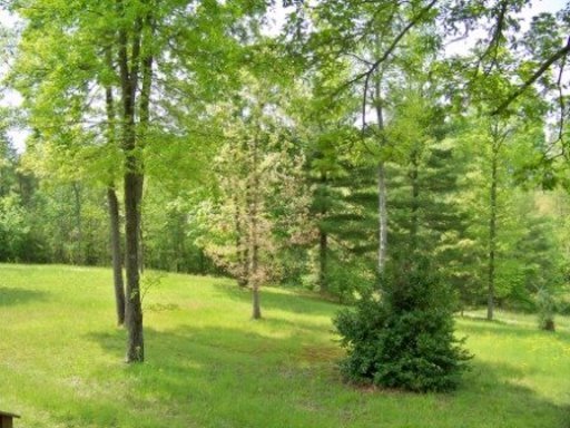 166 Catoosa Ridge Road Rockwood, TN 37854 - Photo 21 of 31 Additional Photo