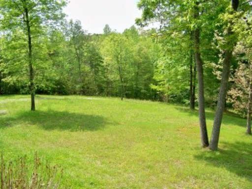 166 Catoosa Ridge Road Rockwood, TN 37854 - Photo 23 of 31 Additional Photo
