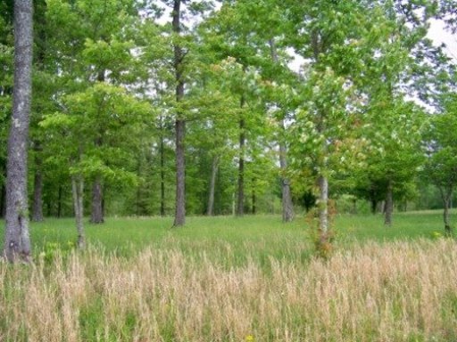 166 Catoosa Ridge Road Rockwood, TN 37854 - Photo 30 of 31 Additional Photo
