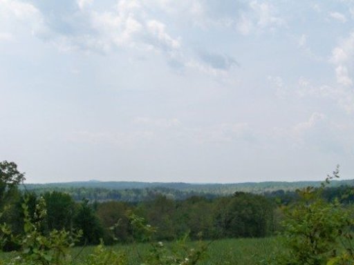166 Catoosa Ridge Road Rockwood, TN 37854 - Photo 31 of 31 Additional Photo