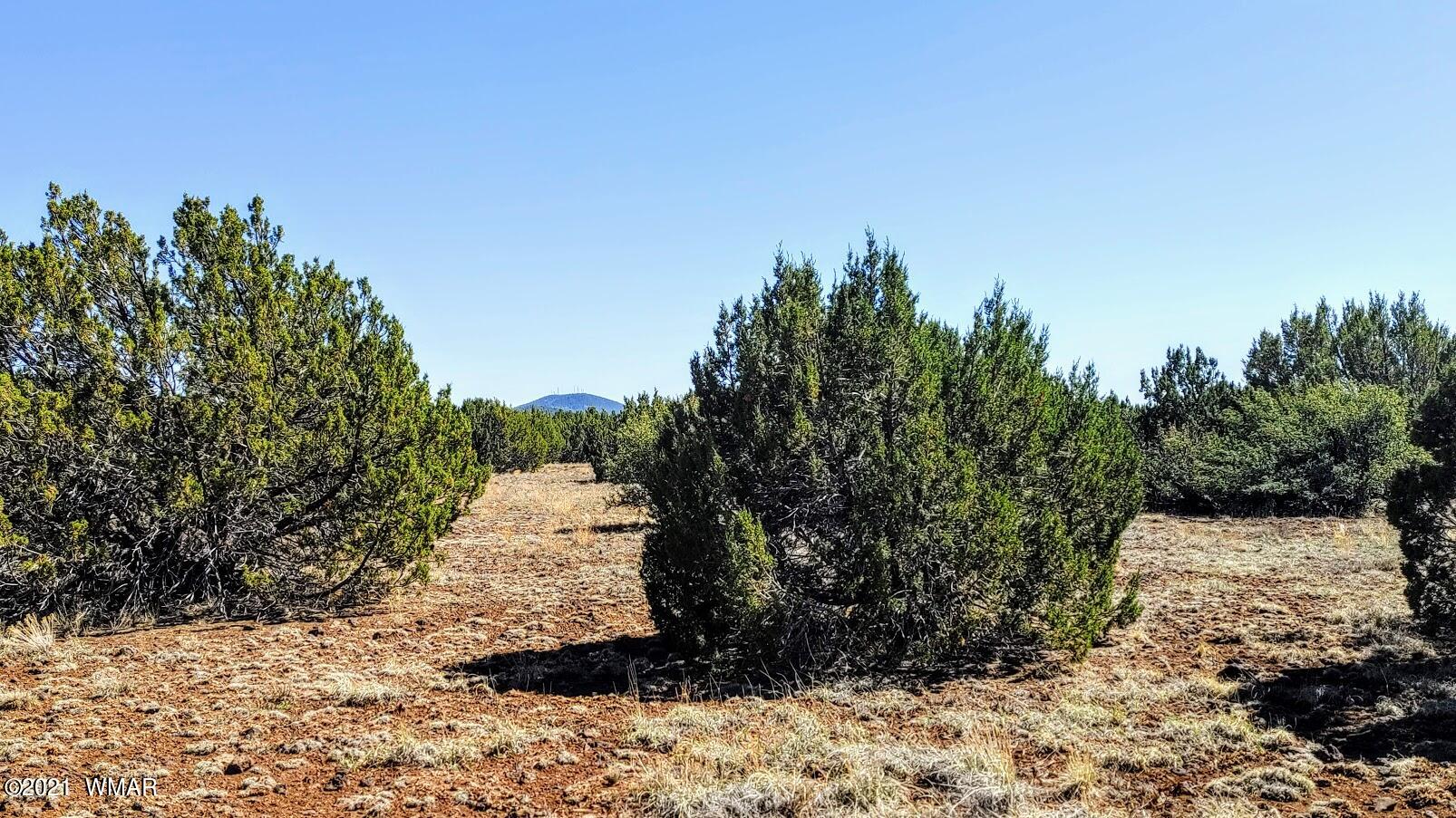 5 Acres Carmel Road Show Low, AZ 85901 - Photo 1 of 11