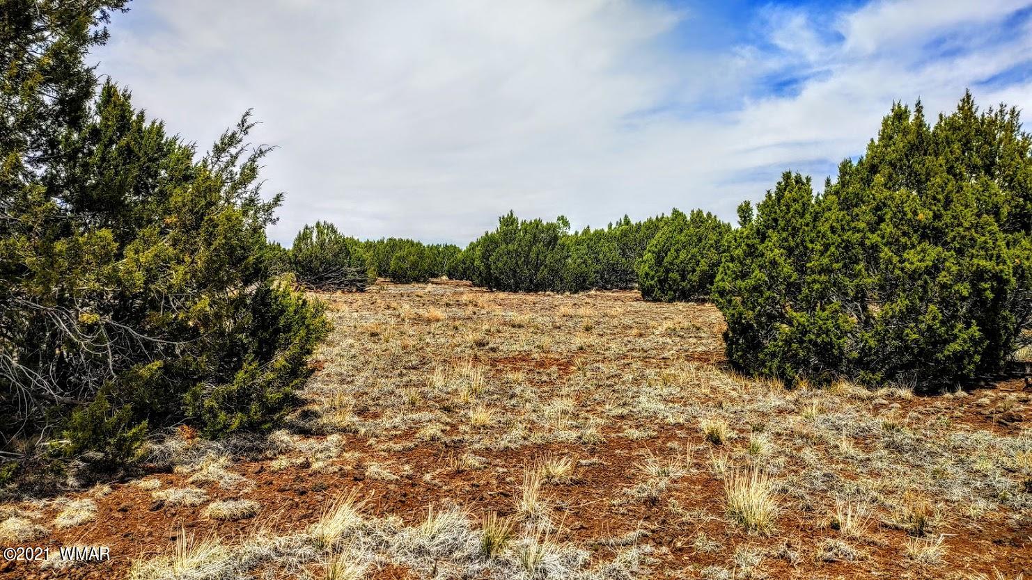 5 Acres Carmel Road Show Low, AZ 85901 - Photo 11 of 11