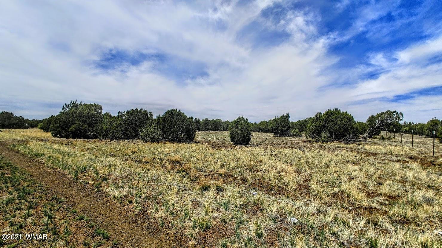 5 Acres Carmel Road Show Low, AZ 85901 - Photo 4 of 11