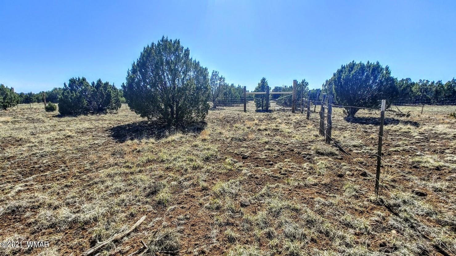 5 Acres Carmel Road Show Low, AZ 85901 - Photo 5 of 11