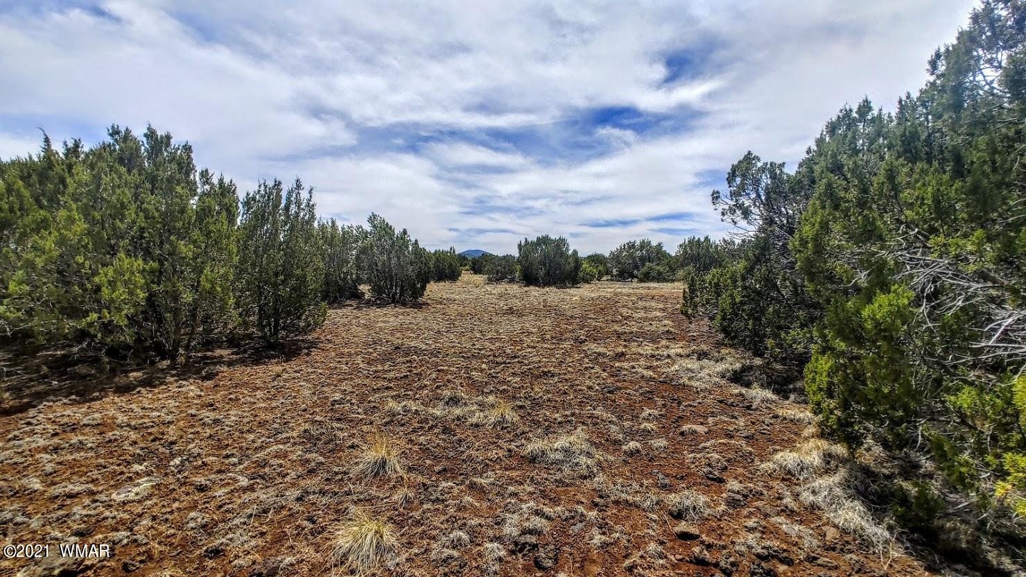 5 Acres Carmel Road Show Low, AZ 85901 - Photo 6 of 11