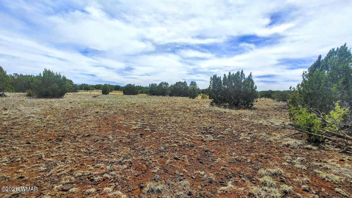 5 Acres Carmel Road Show Low, AZ 85901 - Photo 7 of 11