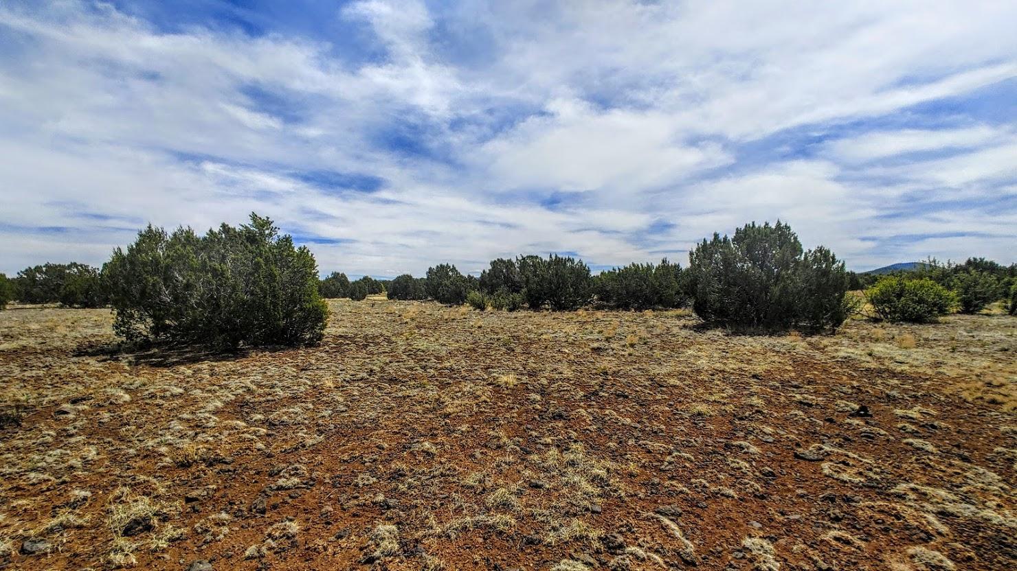 5 Acres Carmel Road Show Low, AZ 85901 - Photo 8 of 11