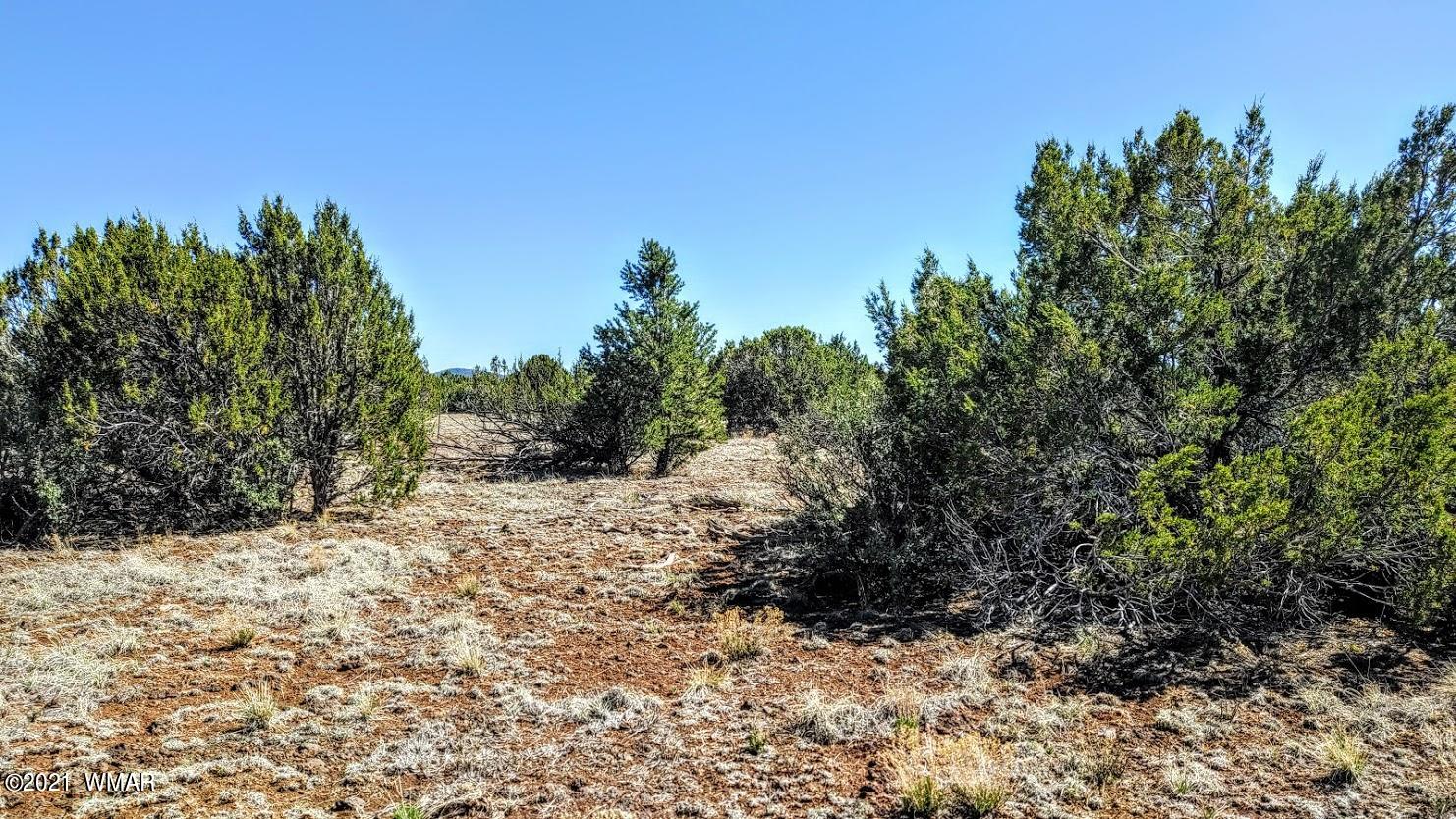 5 Acres Carmel Road Show Low, AZ 85901 - Photo 10 of 11