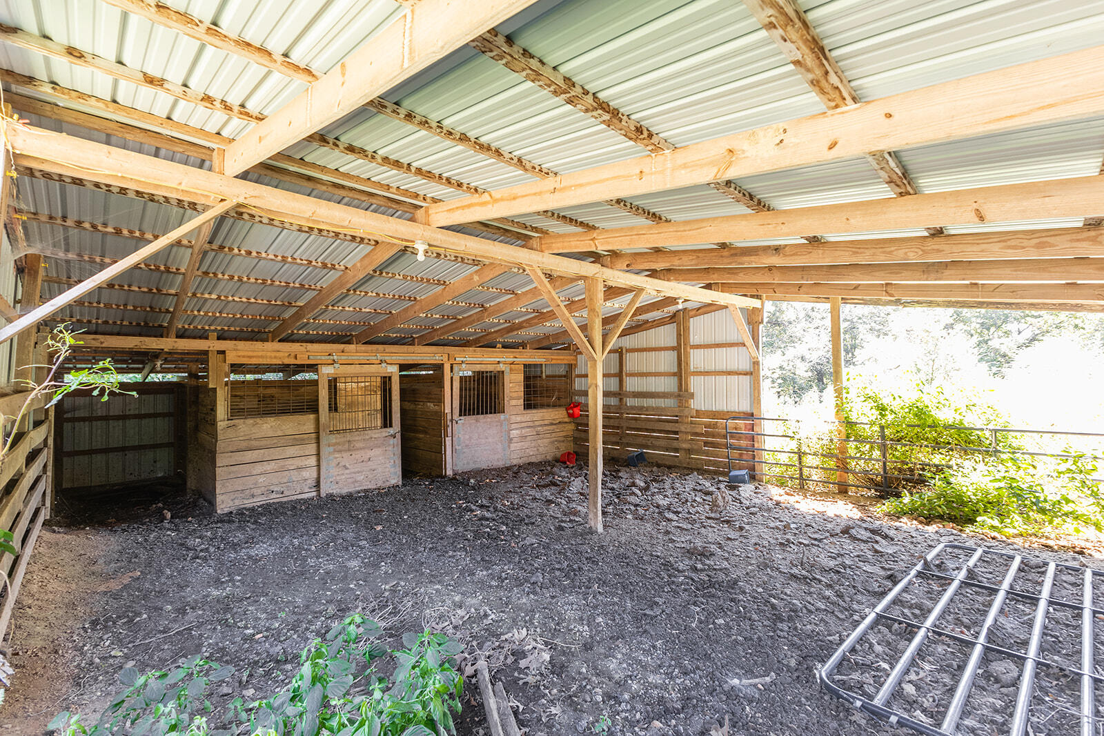 3100 Old Dukedom Road Mayfield, KY 42066 - Photo 51 of 53 4U4A0423