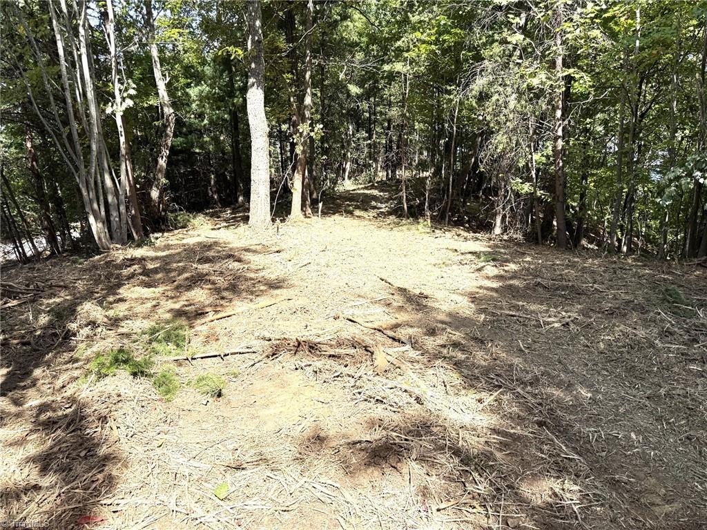 Tbd Ridge Run Road Boomer, NC 28606 - Photo 5 of 15 Gallery Image 5
