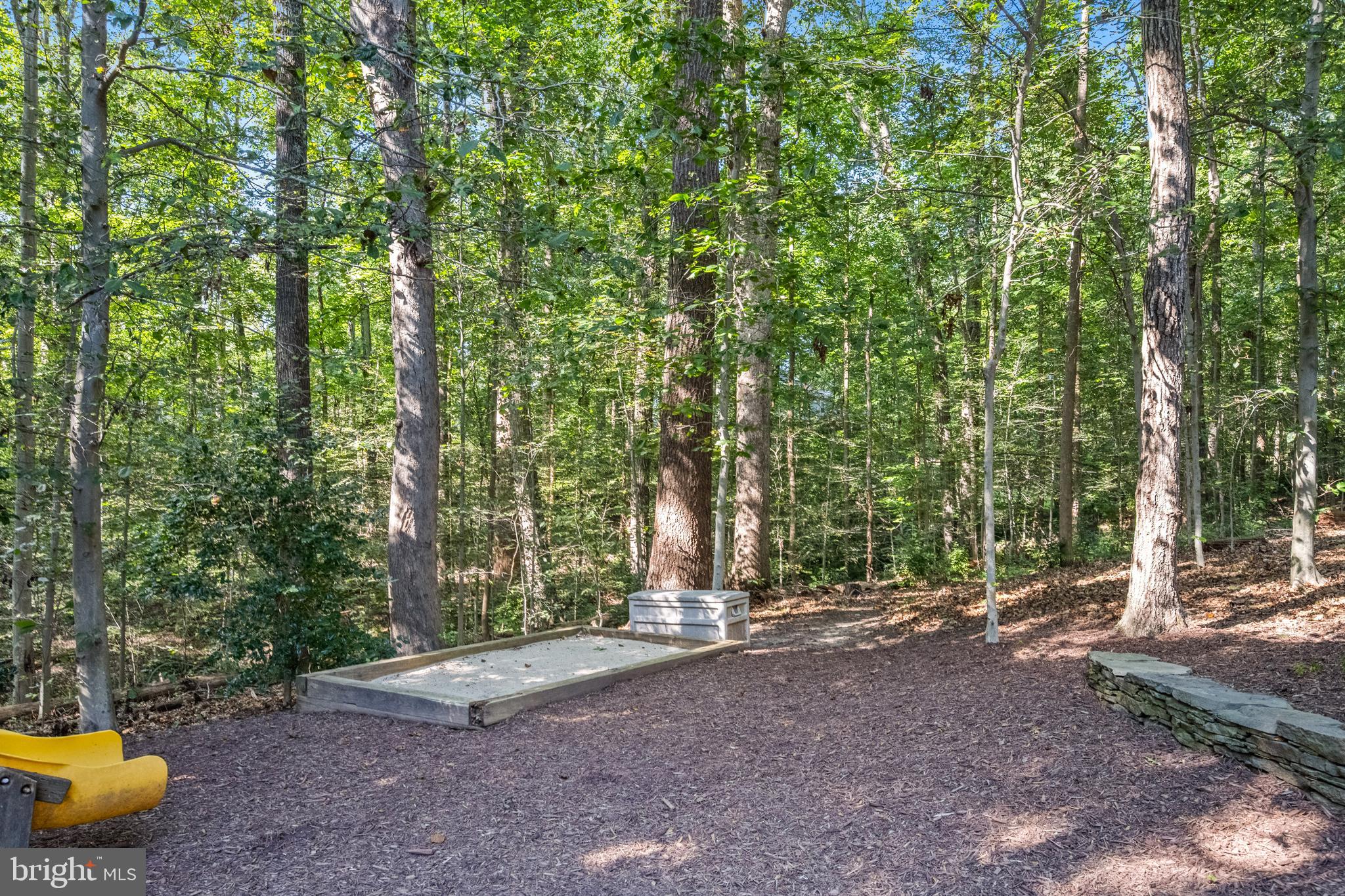 6601 Colchester Road Fairfax Station, VA 22039 - Photo 69 of 78 a view of a forest with trees in the background