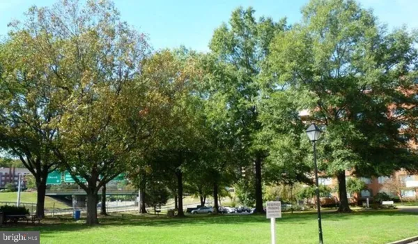 a big yard with lots of trees
