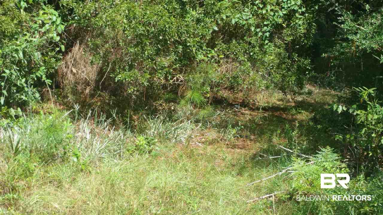 44524 Scenic Highway 98 Fairhope, AL 36532 - Photo 2 of 4