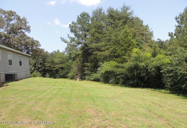 3159 Spring Hill Road Nauvoo, AL 35578 - Photo 4 of 20 Gallery Image 4