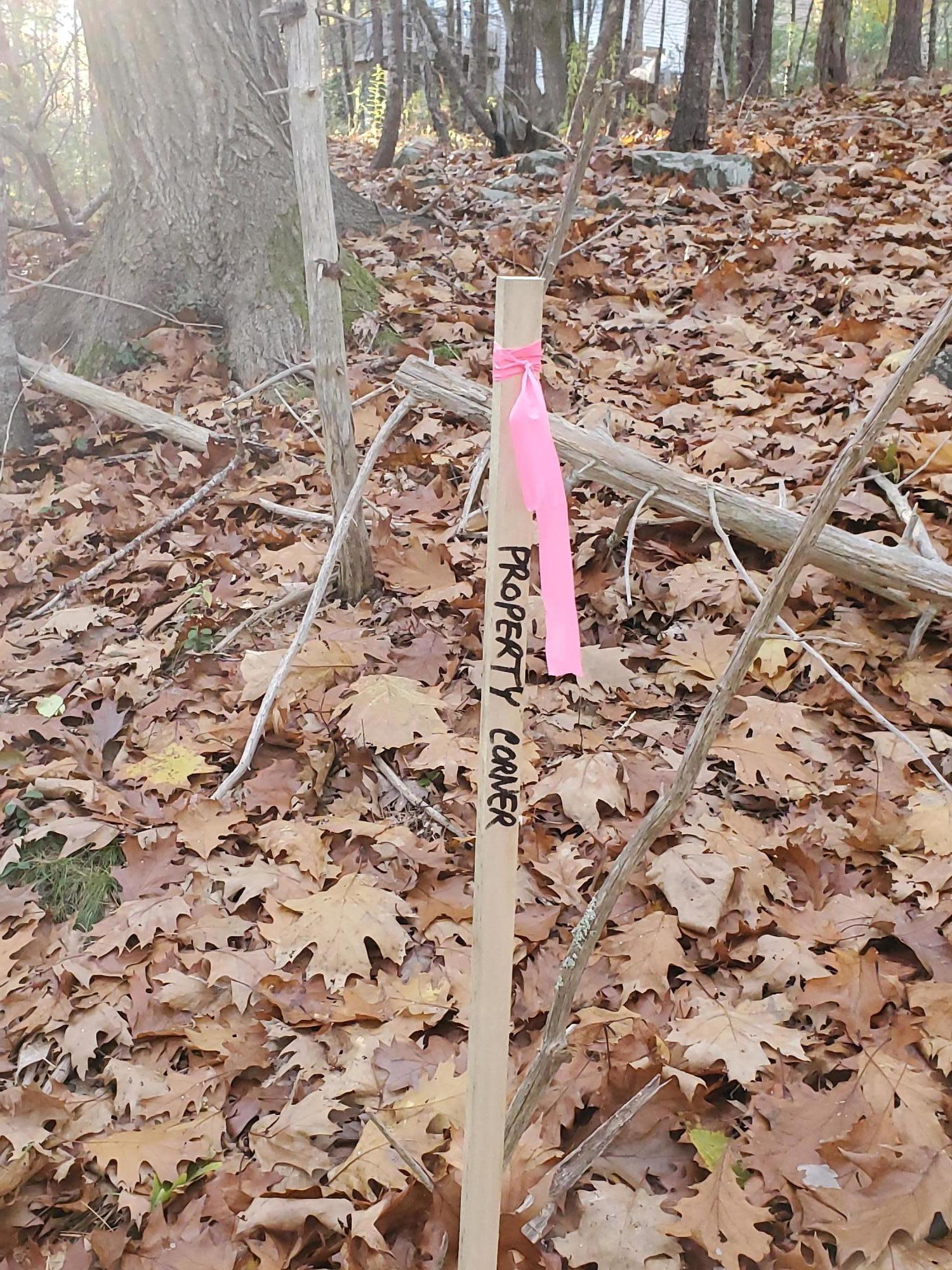 69 Pine Mountain Road York, ME 03902 - Photo 10 of 17 69 Pine Mountain Road