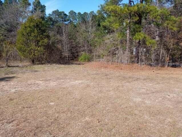 3801 Shari Street Hephzibah, GA 30815 - Photo 3 of 5 Corner lot 3