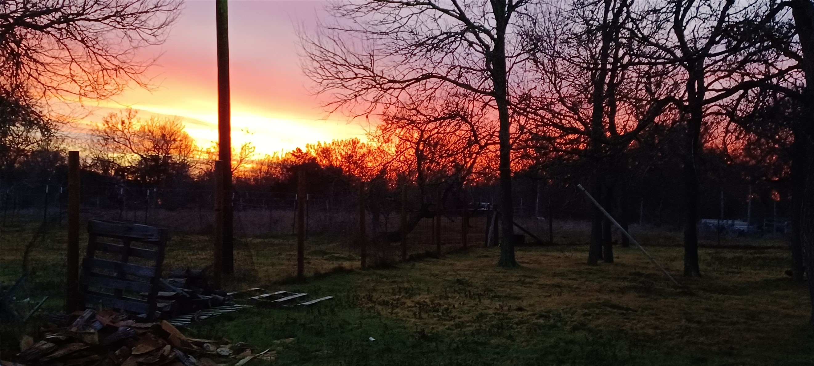 a view of outdoor space and yard
