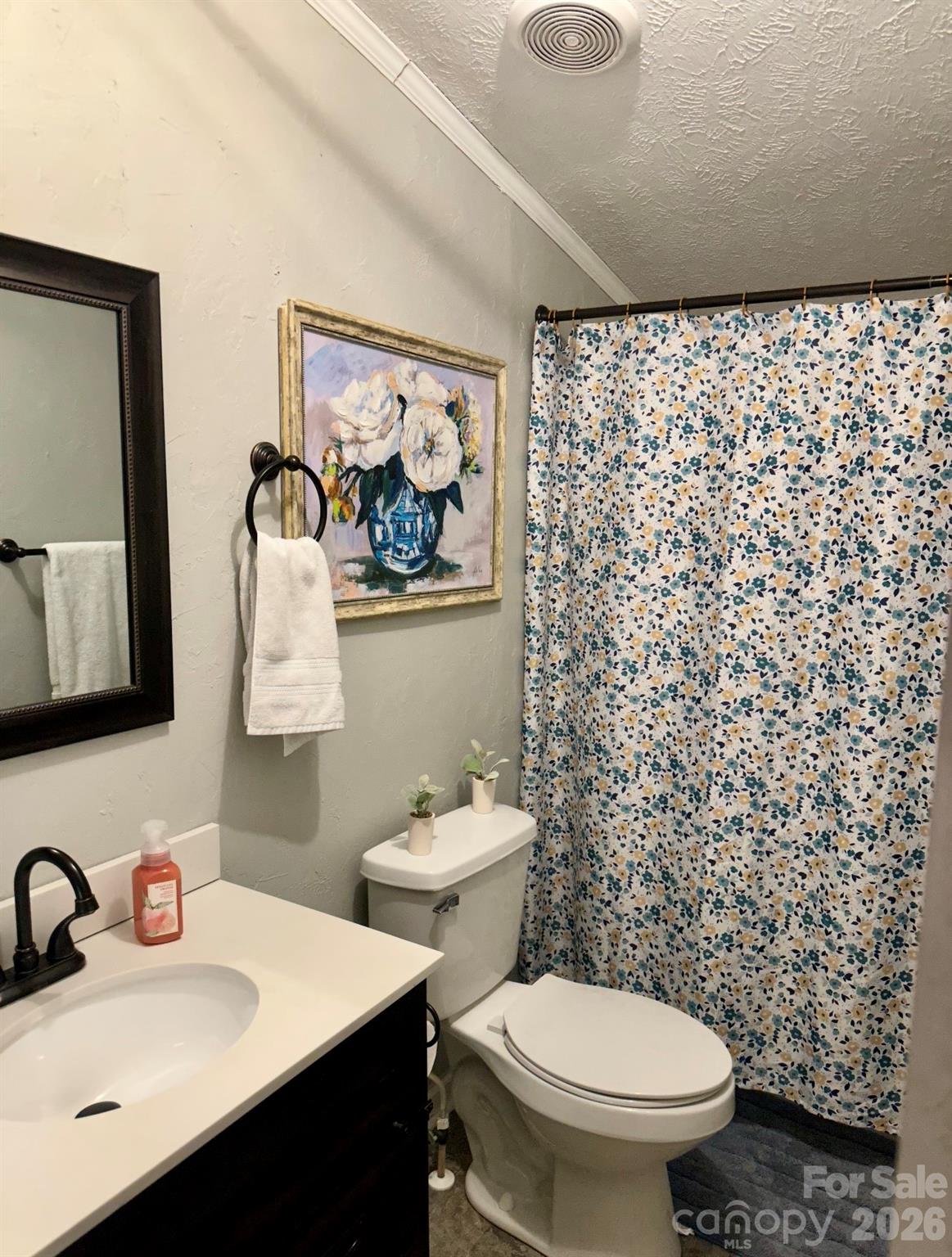 5425 Old Creek Road Morganton, NC 28655 - Photo 16 of 22 a bathroom with a sink a toilet and a mirror