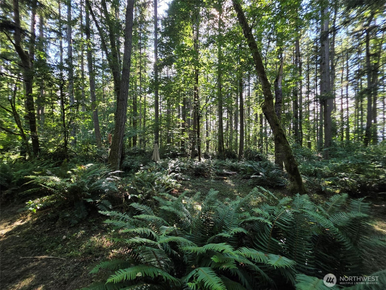 23601 Landers Road Southwest Vashon, WA 98070 - Photo 17 of 21 Gallery Image 17