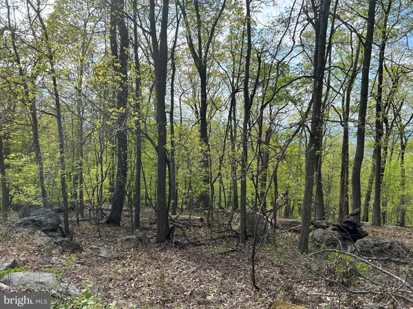 $45,250 | 0 Th, Chester Gap, VA 22623