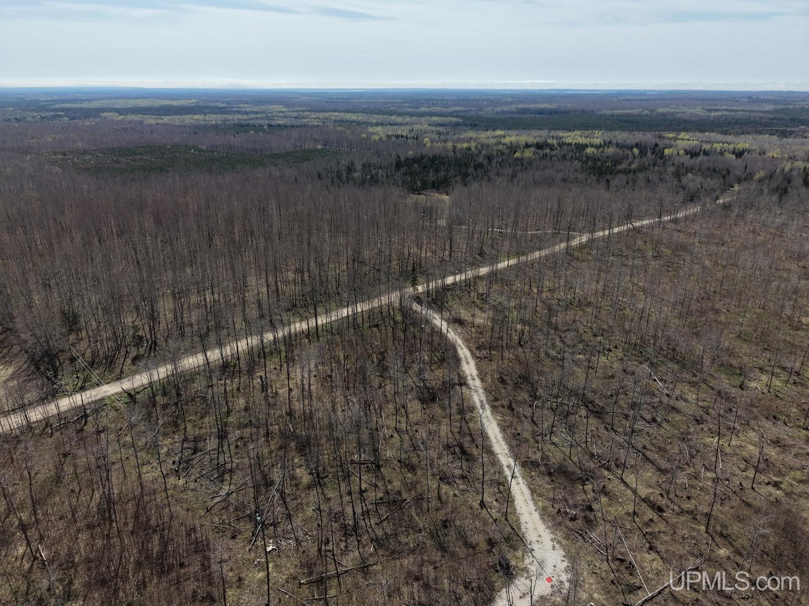 2493 Letson Road Gulliver, MI 49840 - Photo 38 of 56