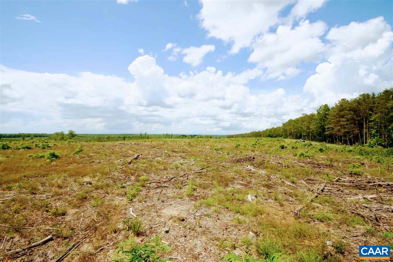 Lot 2 Correctional Center Road Dillwyn, VA 23936 - Photo 11 of 36 Gallery Image 11