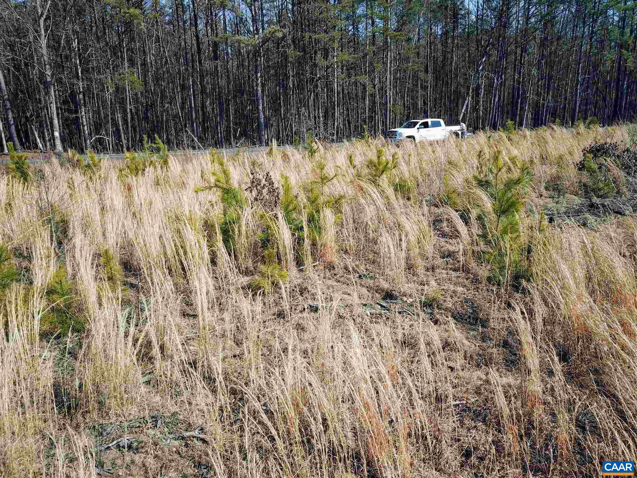 Lot 2 Correctional Center Road Dillwyn, VA 23936 - Photo 32 of 36 Gallery Image 32