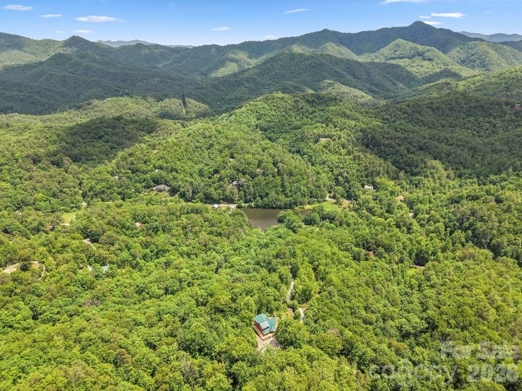 1188 Tobacco Branch Road Almond, NC 28702 - Photo 39 of 45