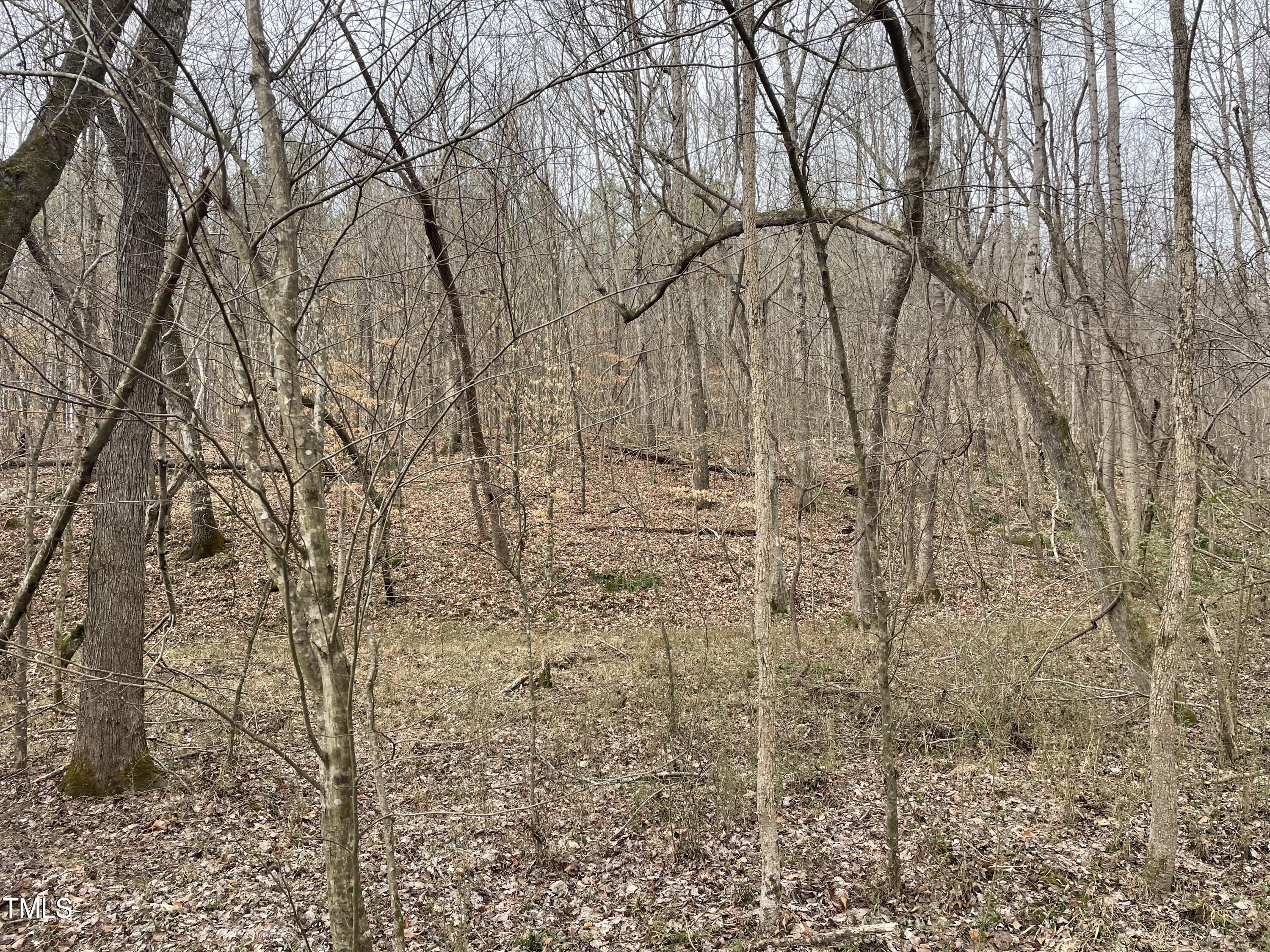 0 Fish Stallings Road Henderson, NC 27537 - Photo 13 of 13 14