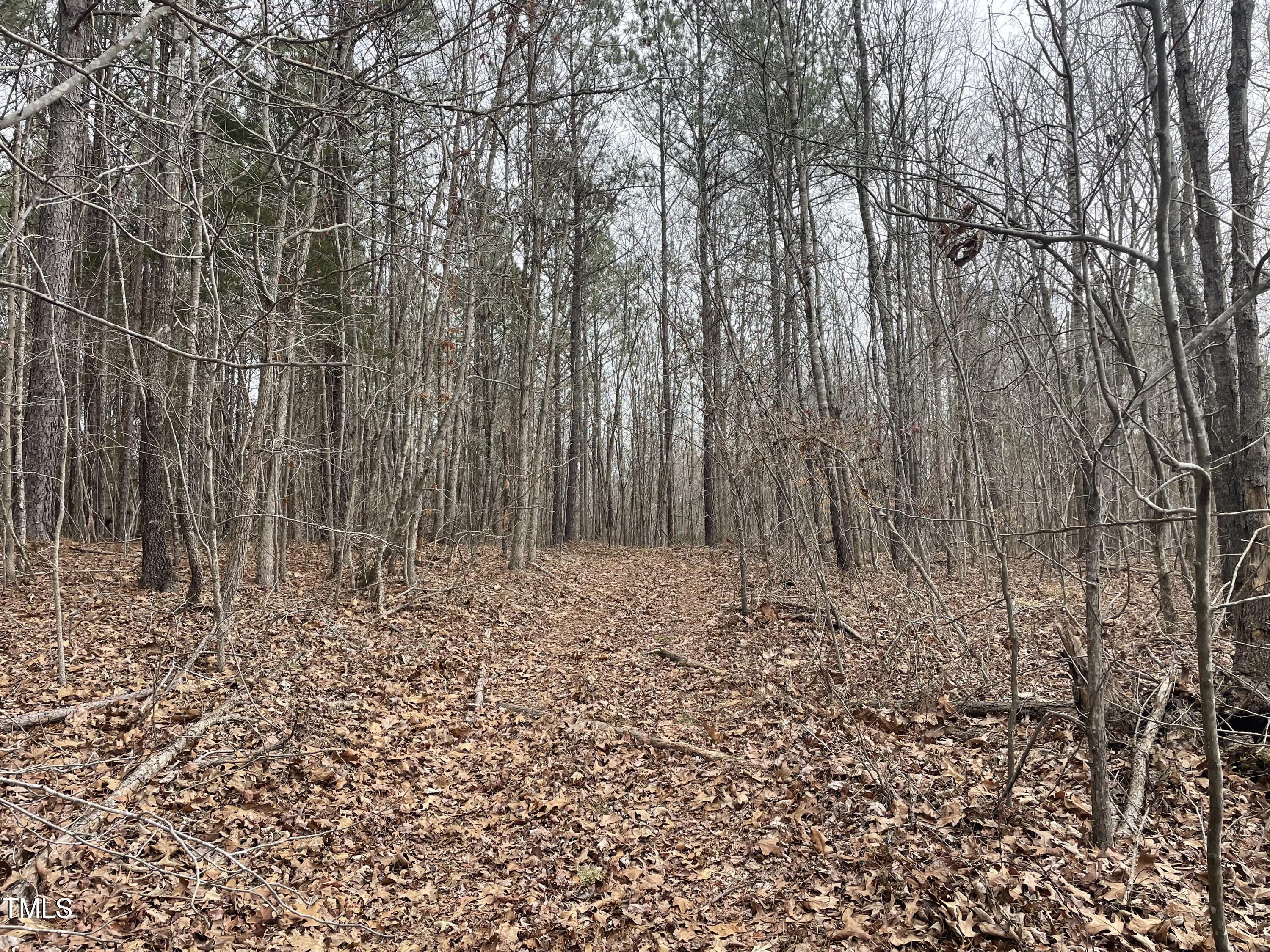 0 Fish Stallings Road Henderson, NC 27537 - Photo 4 of 13 3