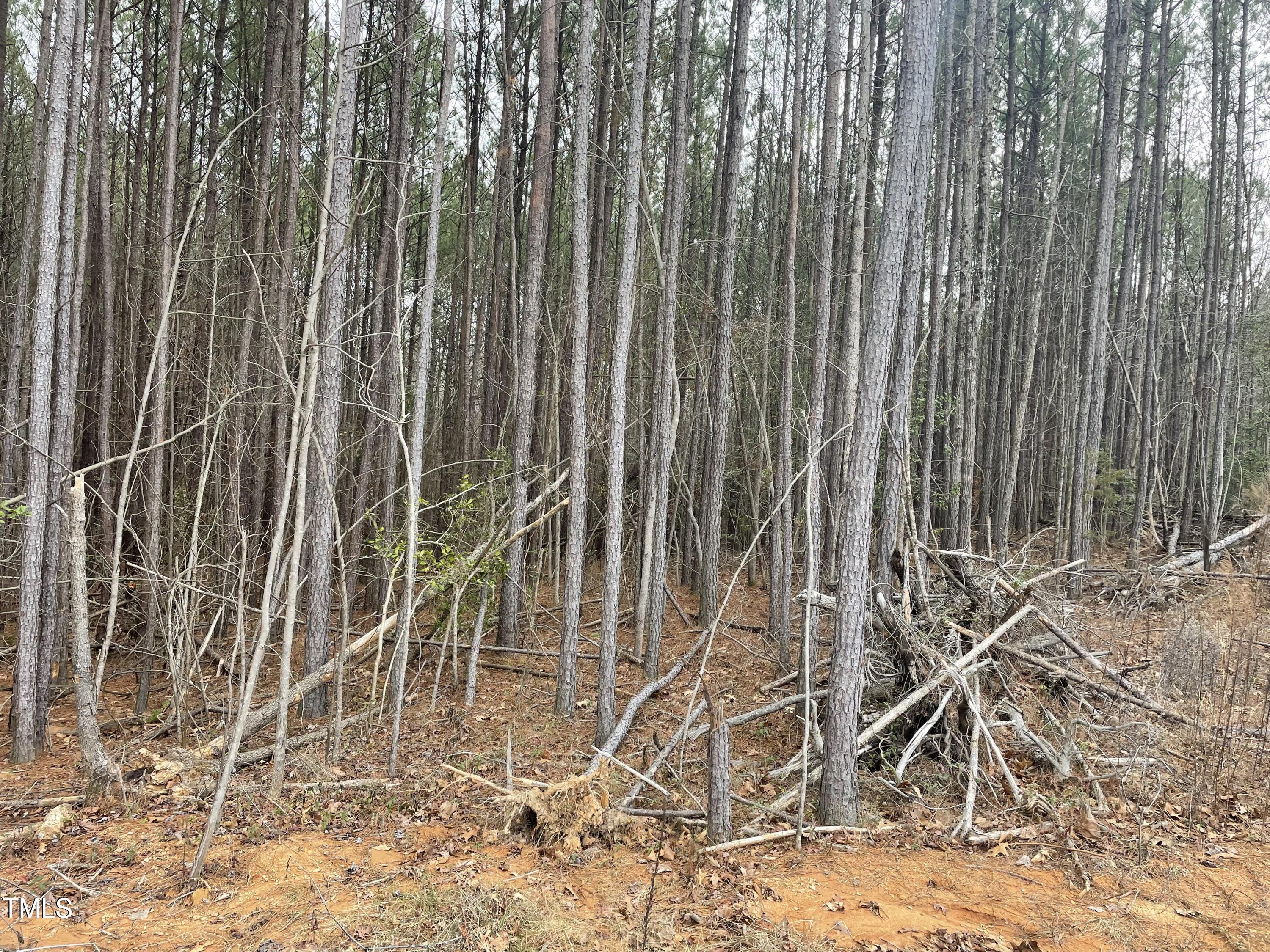 0 Fish Stallings Road Henderson, NC 27537 - Photo 5 of 13 12