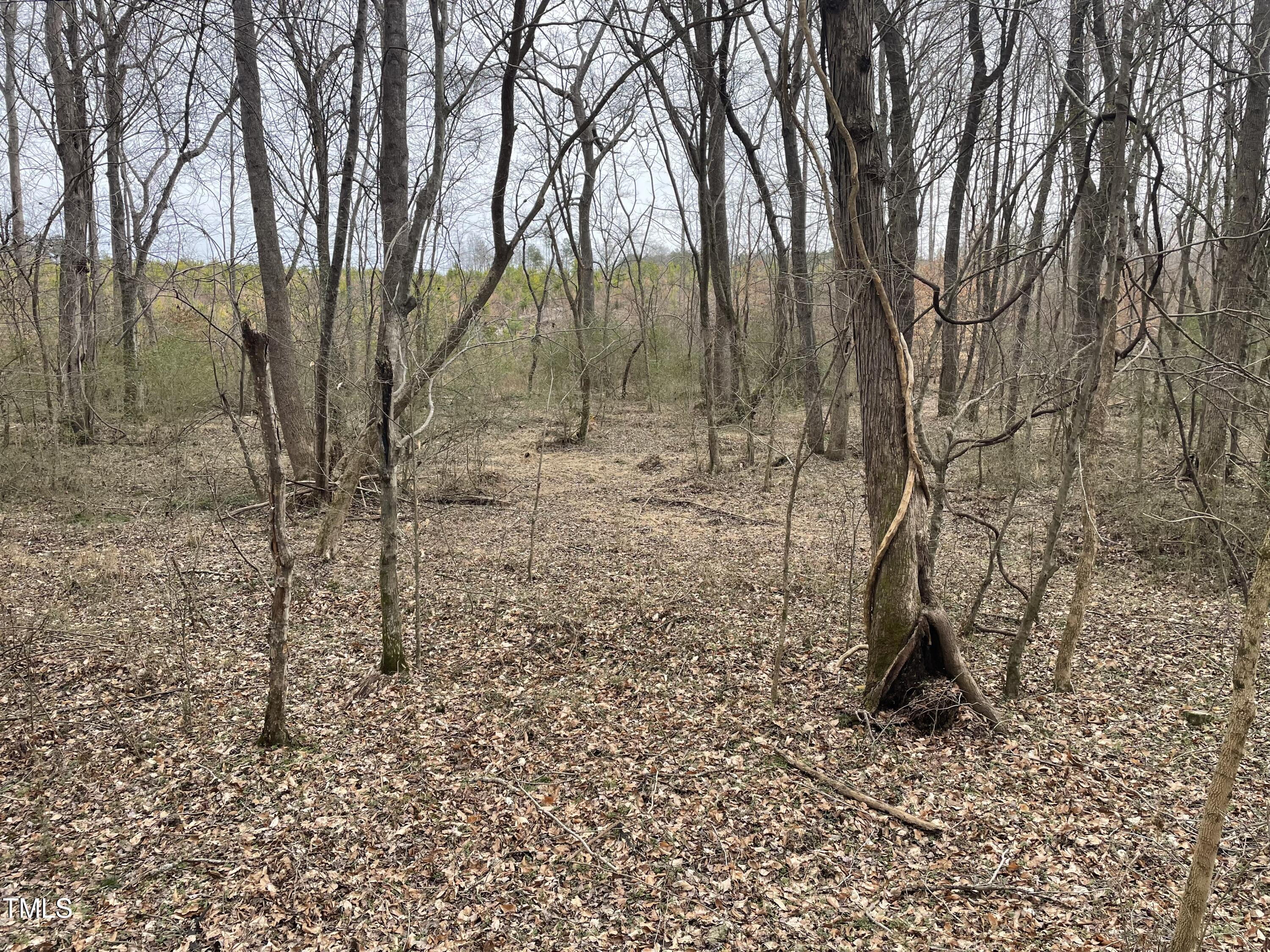 0 Fish Stallings Road Henderson, NC 27537 - Photo 6 of 13 1