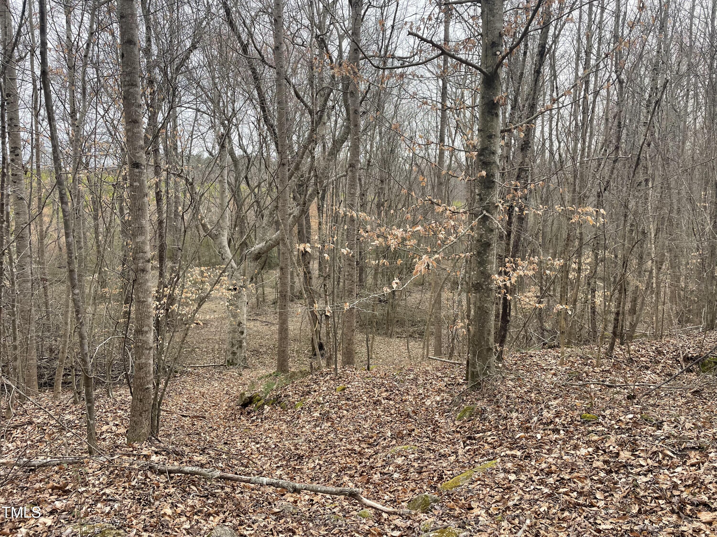 0 Fish Stallings Road Henderson, NC 27537 - Photo 7 of 13 4