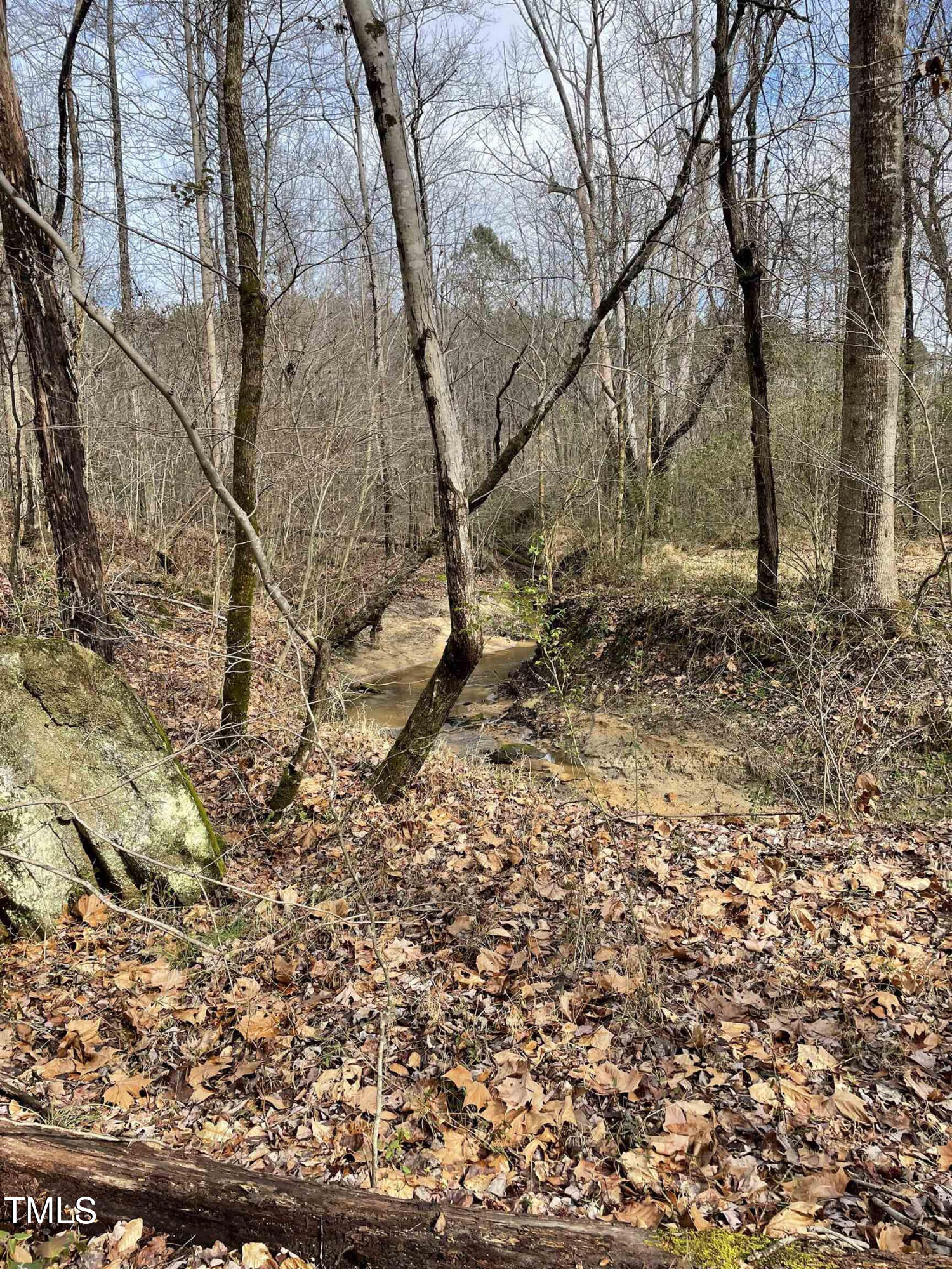 0 Fish Stallings Road Henderson, NC 27537 - Photo 8 of 13 10