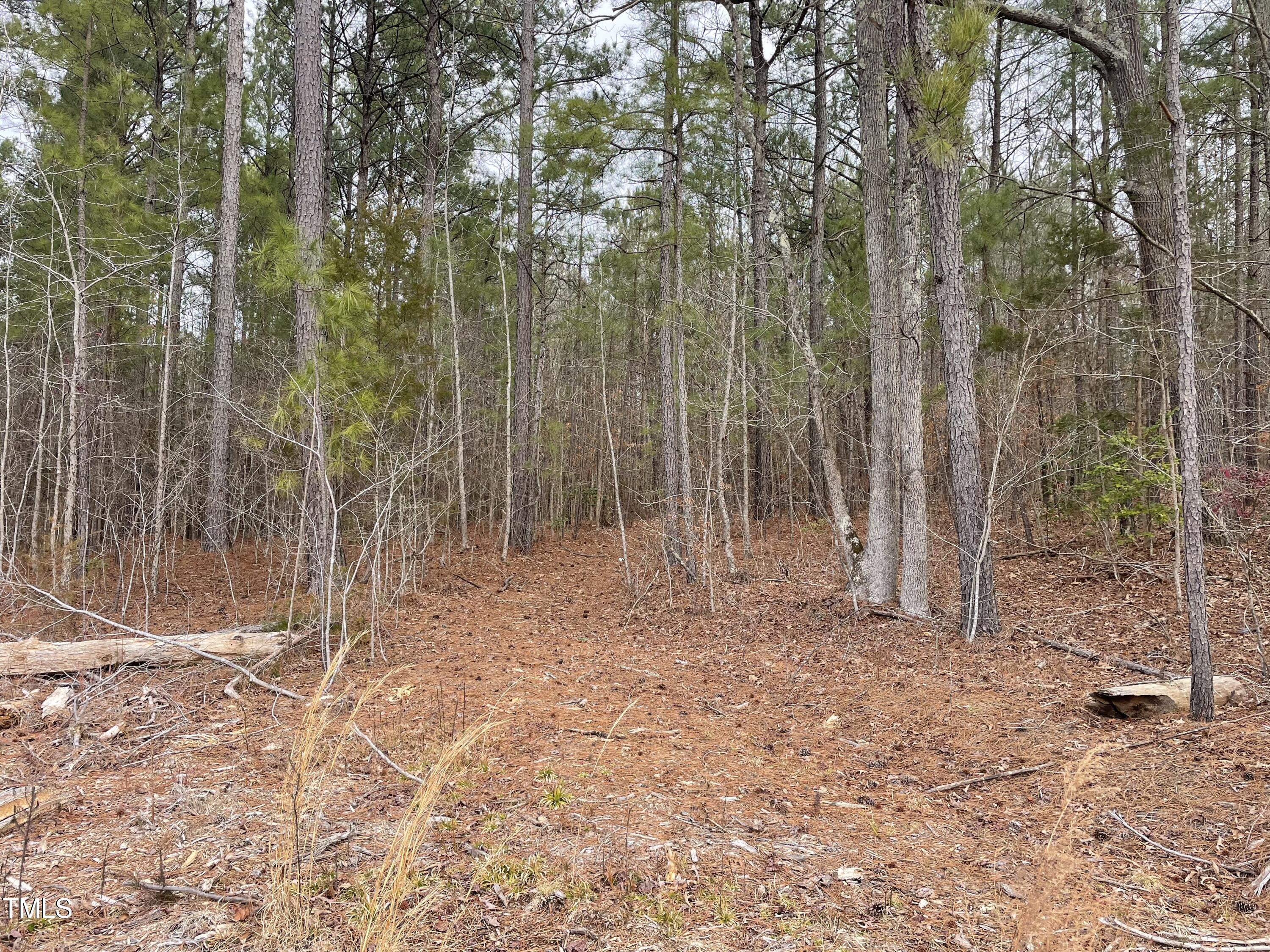 0 Fish Stallings Road Henderson, NC 27537 - Photo 9 of 13 6