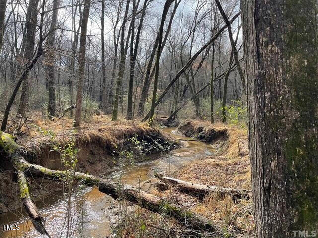 0 Fish Stallings Road Henderson, NC 27537 - Photo 10 of 13 7