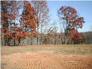 13 Water View Circle Spring City, TN 37381 - Photo 1 of 3 Primary Photo