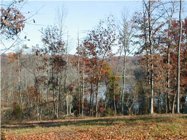 13 Water View Circle Spring City, TN 37381 - Photo 2 of 3 Additional Photo