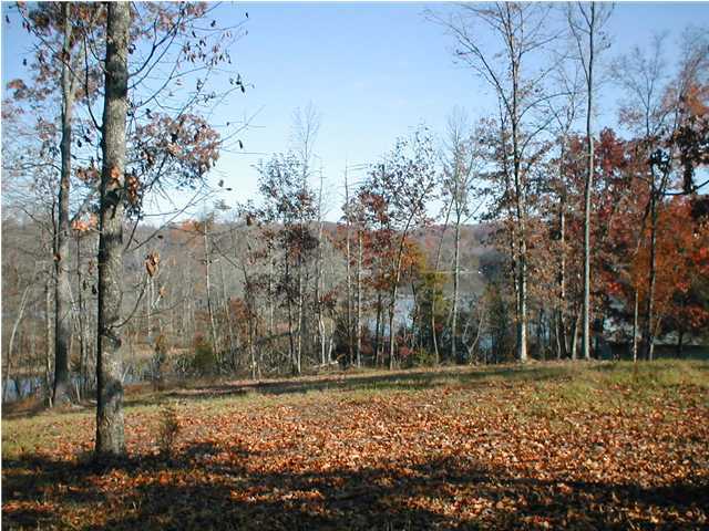 13 Water View Circle Spring City, TN 37381 - Photo 3 of 3 Additional Photo