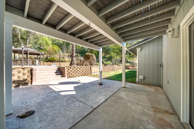 a view of a park with large trees