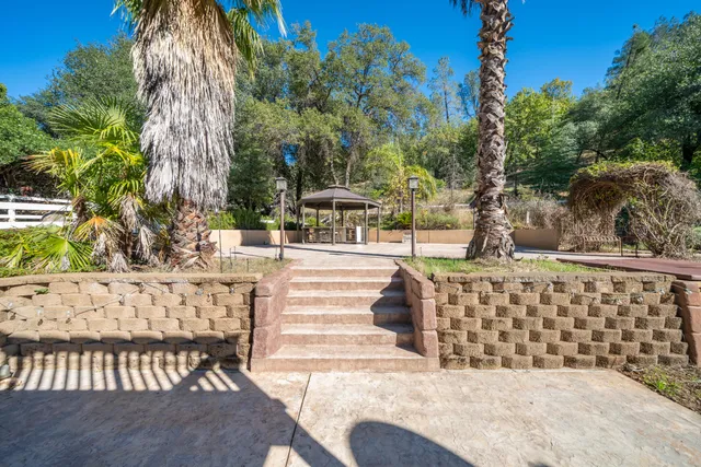 a view of a backyard with large trees and wooden fence