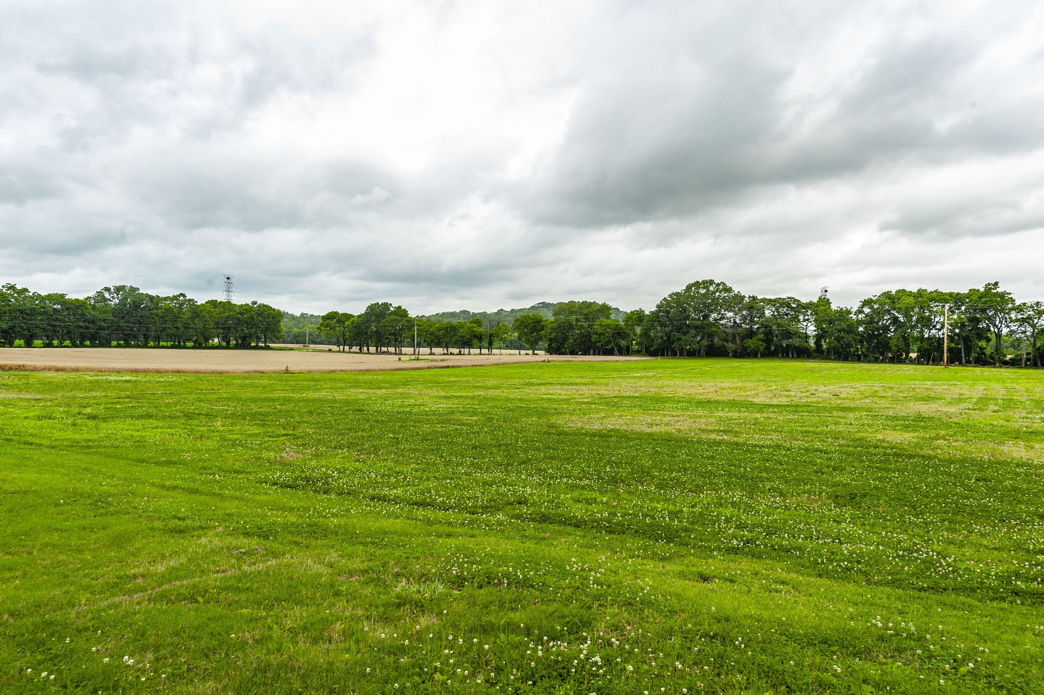 1113 East Robertson Road Castalian Springs, TN 37031 - Photo 23 of 56