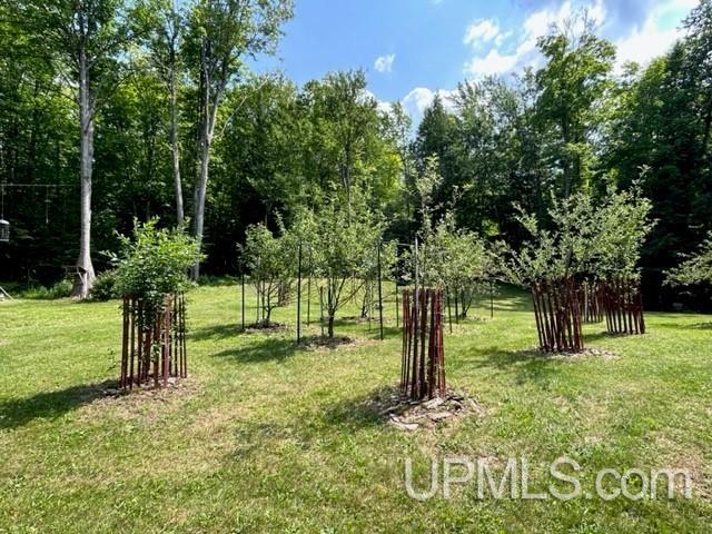 16711 Autio Road Pelkie, MI 49958 - Photo 87 of 87 Gallery Image 87